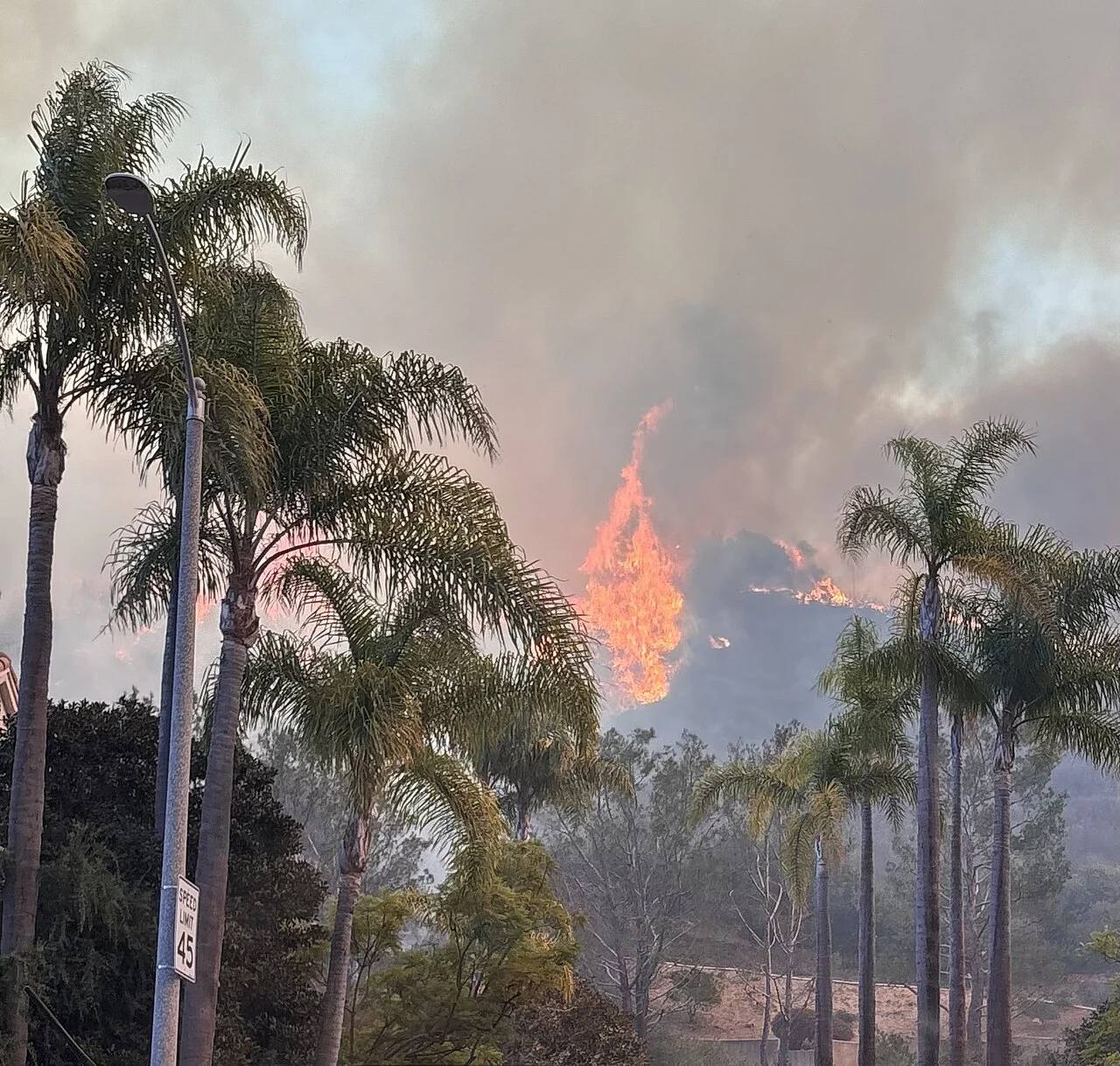Devastating wildfires sweep Los Angeles, forcing tens of thousands to flee — World